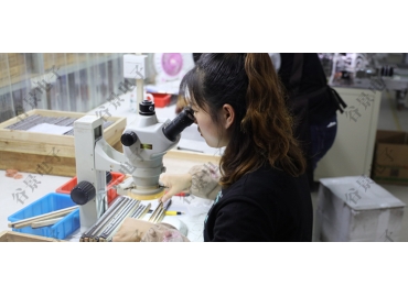 貼片共模電感方向如何區(qū)分你知道嗎？